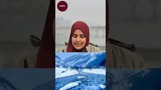  Srinagar Flights Cancelled Amid Bad Weather | Travel Advisory Dec 20&ndash;22