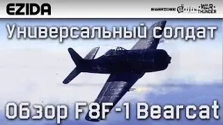 Обзор F8F-1 