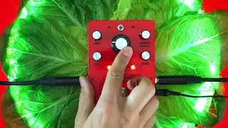 Salad Days ring modulator demo
