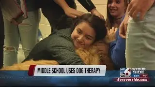 Eagle Middle School uses therapy dogs to help students keep their academic edge, lose the nerves