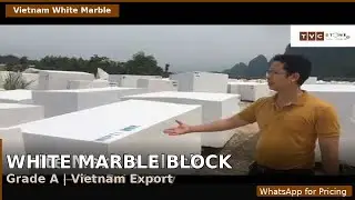 White marble blocks from Yenbai for Export- Vietnam | White marble blocks | TVC STONE