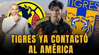 Tigres quiere a Ralph Orquin del América | Te explico cómo va la negociación | Todos los detalles 🚨