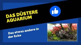 liquid garden 45P Aquarium