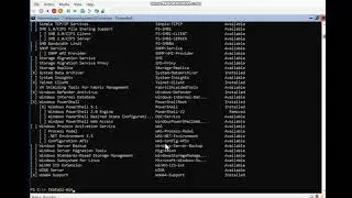 Adding & Removing Windows Feature in Windows Server 2019 through Powershell Commands