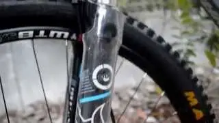 ADRENALINE AM 2.0