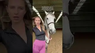 Ready to go full crazy horse girl on you #horse #equestrianlife #horseriding #equestrian