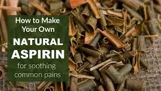 MAKE YOUR OWN NATURAL ASPIRIN