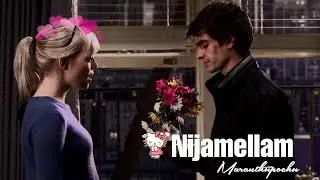 Nijamellam Maranthupochu Spider Man Version | Andrew Garfield | Emma Stone