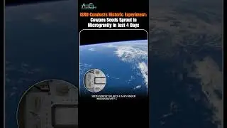 ISRO Conducted Experiment: Cowpea Seeds Sprout in Space in 4 Days! 🚀🌱