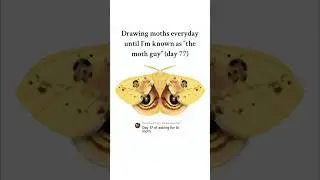 And we have it&hellip; Io Moth 💛🦋✌️ #digitalart #drawing #fypシ #moths