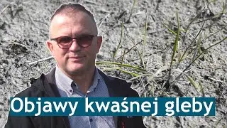 Objawy kwaśnej gleby. Jak sprawdzić pH? || Wszystko o odczynie gleby odc. 3