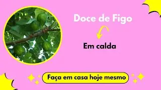 DOCE DE FIGO EM CALDA / RECEITA SIMPLES E F&Aacute;CIL / Doces da Ro&ccedil;a