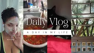 #vlog | Cleaning | Cooking | Live birth of cat | End of holiday | Namibian YouTuber 