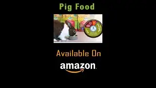Pig Food - Pig Pellets for Adults - Young Guinea Pigs
