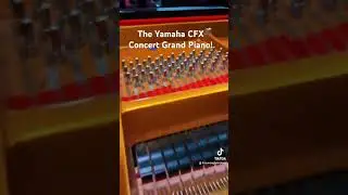 The Yamaha CFX is the new standard! #yamahamusic #pianist #yamaha #grand