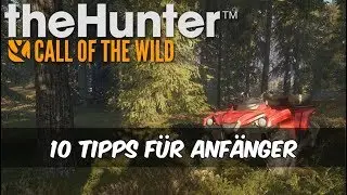 theHunter Call of the Wild - 10 Tipps für Anfänger
