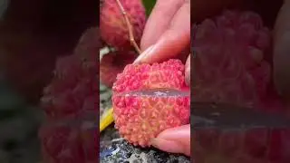 ❤️💋Sweet&Juicy Lychee😋 #satisfying #fruit #viral #yummy #sweet #lychee #cutting #shorts #fyp #nice