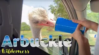 Arbuckle Wilderness | Oklahoma Safari | Feed The Animals