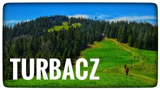 Krokusy w Tatrach? Sprawdź czy są na Turbaczu. Pętla z Obidowej.