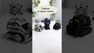 😉 У роботов Emo Cozmo и Vector перерыв во время съемок