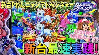新台わんニャンアドベンチャー ヒゲパチ 第1430話 久しぶりの新台最速実践！どうなる？最新台Pわんニャンアドベンチャー実践！