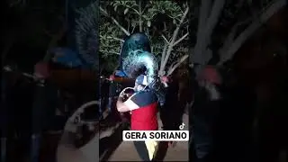 Tuba y saxor el muchacho alegre.👏 #banda #music #musicasinaloense #GERASORIANO #viral #short