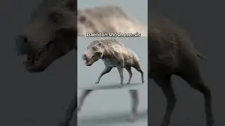 Gef&auml;hrliche ausgestorbene TIERE 😱 #&auml;ngste #fakten #creepy #tiere
