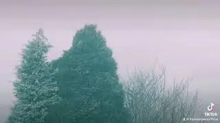 FOGGY COUNTRYSIDE | FRAZER BROWN