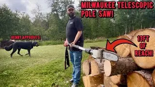 1 Year on YouTube &ndash;Milwaukee Telescopic Pole Saw | Unboxing & Backyard Field Test