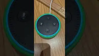 Me and my Amazon Alexa shopping list