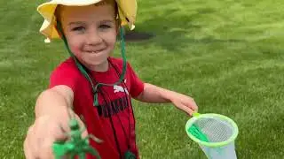 Miki the Bug Hunter 🐞 | Backyard Adventure!