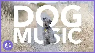 Dog Music: Gentle Sleep Music For Dogs! (TESTED)