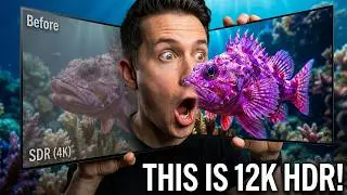 Underwater OLED Display Demo | HDR 12K Ultra HD Dolby Vision™ 60FPS