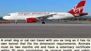 How to contact Virgin America Airline Cancellation Phone Number|Booking Tickets