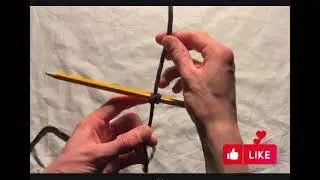 Clove Hitch Short