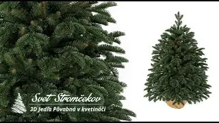Vianočn&yacute; stromček v kvetin&aacute;či 3D Jedľa P&ocirc;vabn&aacute;