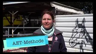 Animal Essential Touch Methode - Sandra