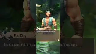 Kung fu saga