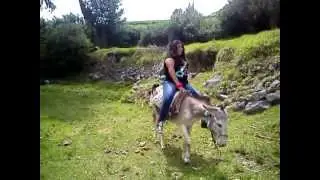 Aprendiendo a montar burrita