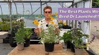 Plants We Bred Ourselves Or Launched Commercially