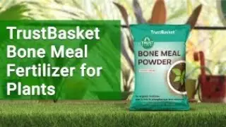 Bone Meal Fertilizer for Plants | TrustBasket