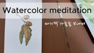 마음을 차분하게 해주는 단풍ㅣRelaxing 그린숨