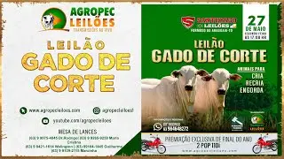 Agropecleiloes.com - LEIL&Atilde;O GADO DE CORTE  | SANTHYAGO LEIL&Otilde;ES - FORMOSO DO ARAGUAIA-TO| 27/05/2024