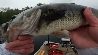 Spawning Season is Here! A Weekend of Bass Fishing at Lake Groton