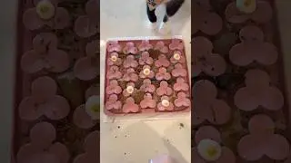 Or maybe this is more of a snuffle mat? 😋🌸 #dogtreats #lickmat #enrichment #lickmatrecipe