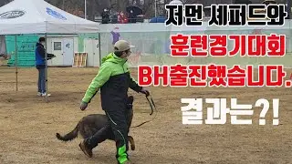 워킹라인 14개월 저먼 셰퍼드와 한국애견협회 훈련경기대회 BH과목에 출진했습니다. 결과는.....Germanshepherd BH training!!