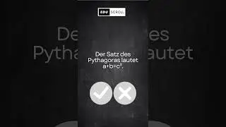 Teste dein Wissen: Richtig oder Falsch Mathematik-Quiz!