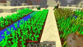 The Diamond Buddies! Let's Play #1! TDB World! Ordering tacos!!