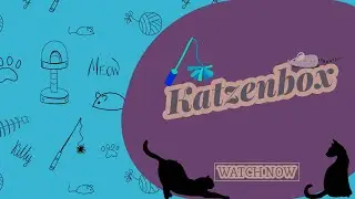 😺Was passiert mit dem ganzen Unboxing Katzensachen? 😺