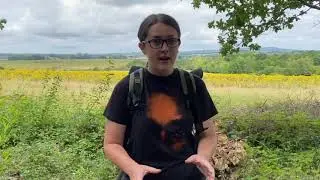 A Visit to RSPB Pulborough Brooks.